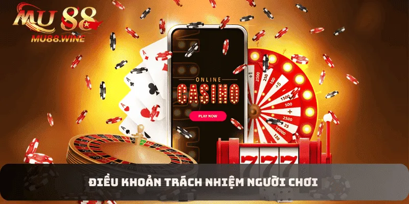 Điều khoản trách nhiệm người chơi